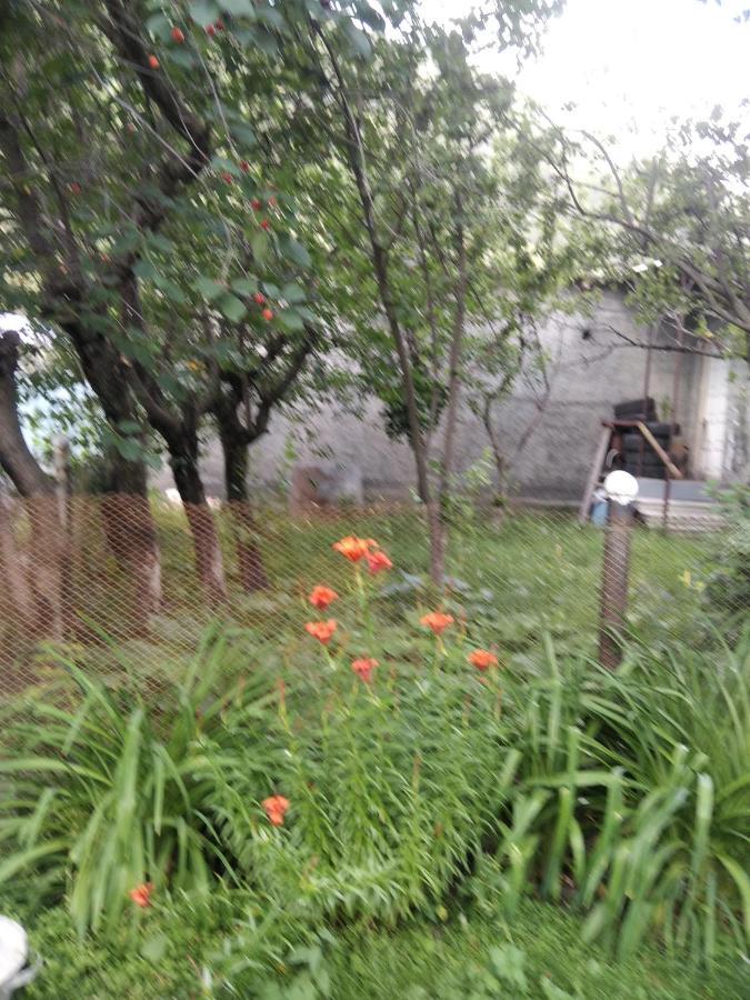 Apartament Arsha Stepancminda